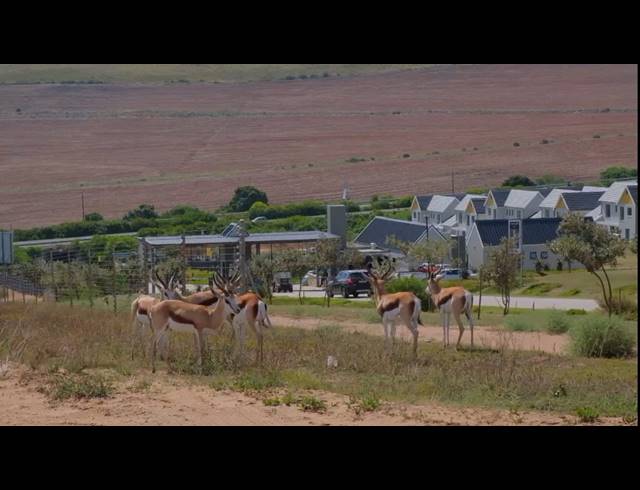 3 BEDROOM FREEHOLD FOR SALE IN HARTLAND LIFESTYLE ESTATE